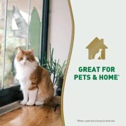 Nature's Miracle Dog Urine Destroyer Plus Enzymatic Stain Remover Foam Aerosol Spray, 17.5-oz Bottle -Furry Friends 313850 PT7. AC SS1800 V1701116640