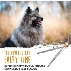 Mighty Paw Professional Dog & Cat Grooming Shears, 2 Count 13 Mighty Paw Professional Dog & Cat Grooming Shears, 2 Count -Furry Friends 315236 PT2. AC SS1800 V1626478595