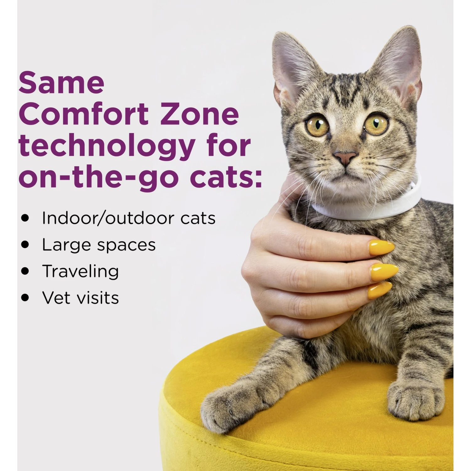 Comfort Zone Calming Pheromone Breakaway Cat Collar, 4 Count 5 Comfort Zone Calming Pheromone Breakaway Cat Collar, 4 Count - Image 3