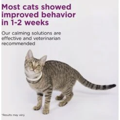 Comfort Zone Calming Pheromone Breakaway Cat Collar, 4 Count 11 Comfort Zone Calming Pheromone Breakaway Cat Collar, 4 Count -Furry Friends 315474 PT3. AC SS1800 V1691003592