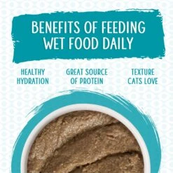 Weruva Classic Pate, The Mix & Match Game Variety Pack Wet Cat Food -Furry Friends 315727 PT5. AC SS1800 V1702598143