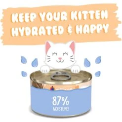 Weruva Tuna & Salmon Formula In A Hydrating Puree Wet Cat Food -Furry Friends 315749 PT4. AC SS1800 V1639607557