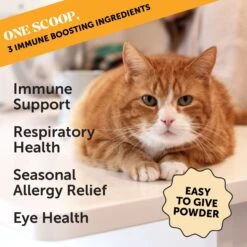 PetHonesty Lysine Immune Health+ Tuna & Chicken Flavored Powder Immune Supplement For Cats, 4.2-oz Bottle 10 PetHonesty Lysine Immune Health+ Tuna & Chicken Flavored Powder Immune Supplement For Cats, 4.2-oz Bottle -Furry Friends 315793 PT1. AC SS1800 V1690989187