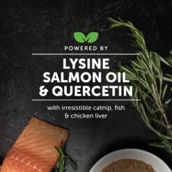 PetHonesty Lysine Immune Health+ Tuna & Chicken Flavored Powder Immune Supplement For Cats, 4.2-oz Bottle 14 PetHonesty Lysine Immune Health+ Tuna & Chicken Flavored Powder Immune Supplement For Cats, 4.2-oz Bottle -Furry Friends 315793 PT5. AC SS1800 V1691002938