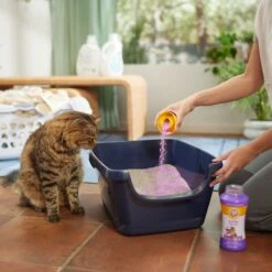 ARM & HAMMER PRODUCTS Calming Lavender & Vanilla Scent Cat Litter Box Deodorizing Crystals -Furry Friends 315802 PT4. AC SS1800 V1680789562