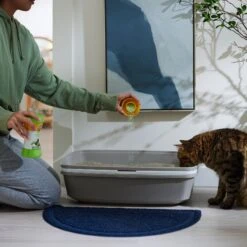 ARM & HAMMER PRODUCTS Stimulating Rosemary & Mint Scent Cat Litter Box Deodorizing Crystals -Furry Friends 315806 PT4. AC SS1800 V1680789562