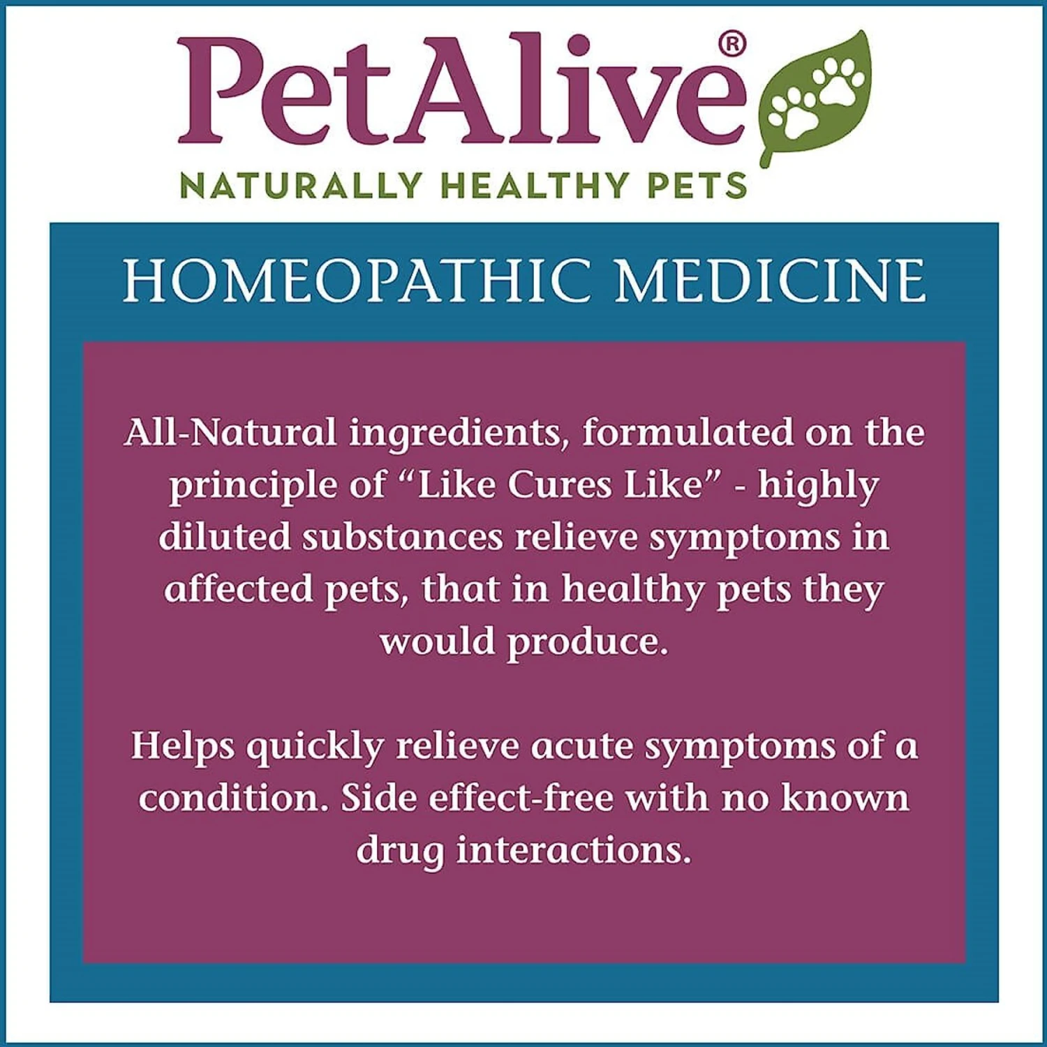 PetAlive KC-Defense Homeopathic Medicine For Kennel Cough For Dogs & Cats, 1-oz Jar 7 PetAlive KC-Defense Homeopathic Medicine For Kennel Cough For Dogs & Cats, 1-oz Jar - Image 5