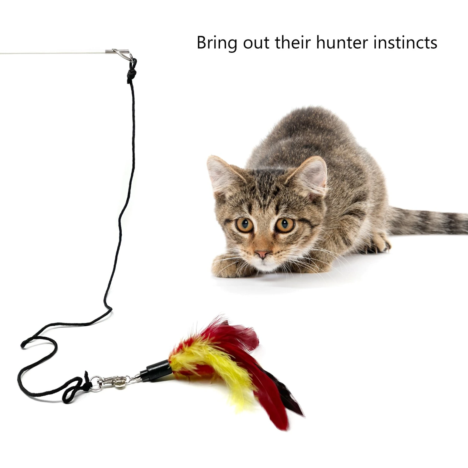 Pet Fit For Life 4-Piece Bundle Interactive Swimming Fish + Feather Wand Cat Toy 4 Pet Fit For Life 4-Piece Bundle Interactive Swimming Fish + Feather Wand Cat Toy - Image 2