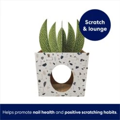 Frisco Potted Succulent Cardboard Cat House 10 Frisco Potted Succulent Cardboard Cat House -Furry Friends 317723 PT2. AC SS1800 V1689342085