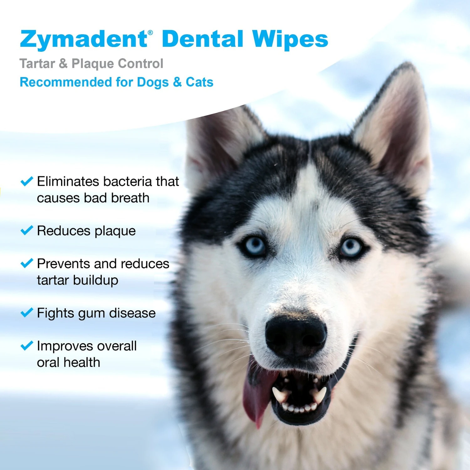 VetWELL Zymadent Dog & Cat Dental Wipes 5 VetWELL Zymadent Dog & Cat Dental Wipes - Image 3