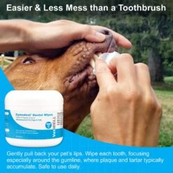 VetWELL Zymadent Dog & Cat Dental Wipes 10 VetWELL Zymadent Dog & Cat Dental Wipes -Furry Friends 317996 PT3. AC SS1800 V1631679677
