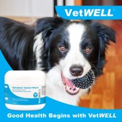 VetWELL Zymadent Dog & Cat Dental Wipes 11 VetWELL Zymadent Dog & Cat Dental Wipes -Furry Friends 317996 PT4. AC SS1800 V1631689896