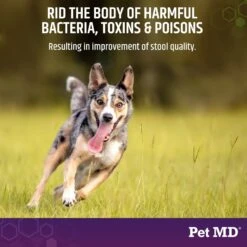 Pet MD Stool-Fix Powdered Clay Anti Diarrhea Treatment For Upset Stomach Relief, Promotes Normal Stool For Dogs & Cats -Furry Friends 317998 PT4. AC SS1800 V1659887071