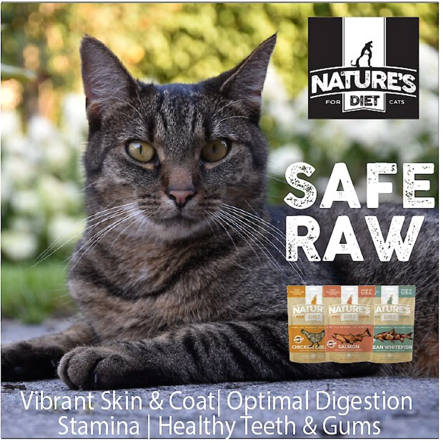 Nature's Diet Salmon Raw Freeze-Dried Cat Treats, 1-oz Pouch 10 Nature's Diet Salmon Raw Freeze-Dried Cat Treats, 1-oz Pouch - Image 8