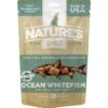 Nature's Diet Whitefish Raw Freeze-Dried Cat Treats, 1-oz Pouch