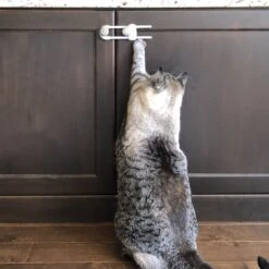 MyPet Safety Paws Grip & Glide Cabinet Locks For Dog & Cat, Gray, 3 Count -Furry Friends 319751 PT5. AC SS1800 V1635257781