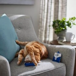 Frisco Father's Day Card Felt Cat Toy With Catnip, 2 Count -Furry Friends 327029 PT3. AC SS1800 V1648667305