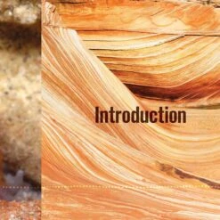 Leopard Gecko Manual -Furry Friends 327406 PT4. AC SS1800 V1632815215