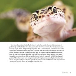 Leopard Gecko Manual -Furry Friends 327406 PT6. AC SS1800 V1632804734