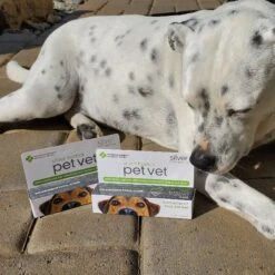 Silver Biotics PET VET Antibacterial First Aid Wound Dressing 7 Silver Biotics PET VET Antibacterial First Aid Wound Dressing -Furry Friends 327462 PT3. AC SS1800 V1631640080