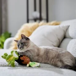 Disney Princess Tiana Plush Cat Toy With Catnip, 2 Count -Furry Friends 328737 PT3. AC SS1800 V1657661947