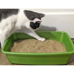 Dr. Bales One Source Clumping Cat Litter 16 Dr. Bales One Source Clumping Cat Litter -Furry Friends 329350 PT5. AC SS1800 V1634079734