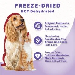 Halo Liv-A-Littles Beef Liver Protein Freeze-Dried Dog & Cat Treats, 3-oz Bag -Furry Friends 329479 PT4. AC SS1800 V1631602879