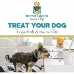 Remy's Kitchen Lamb Liver, Spleen, Heart Meat Medley Freeze-Dried Dog & Cat Treats, 3-oz Bag 7 Remy's Kitchen Lamb Liver, Spleen, Heart Meat Medley Freeze-Dried Dog & Cat Treats, 3-oz Bag -Furry Friends 329483 PT2. AC SS1800 V1631625102