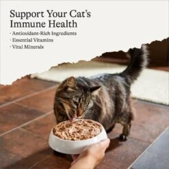 American Journey Senior Pate Chicken & Beef Recipe Canned Cat Food, 3-oz Can, Case Of 24 -Furry Friends 330849 PT1. AC SS1800 V1691614424