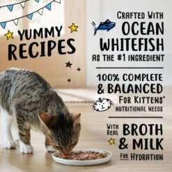 Tiny Tiger, Kitten Classic, Ocean Whitefish Pate Recipe, Canned Cat Food -Furry Friends 330994 PT3. AC SS1800 V1687283980