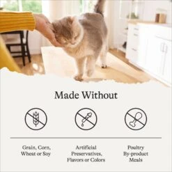 American Journey Pate Senior Wet Cat Food Variety Pack, 3-oz Can, Case Of 24 -Furry Friends 331112 PT5. AC SS1800 V1637695014