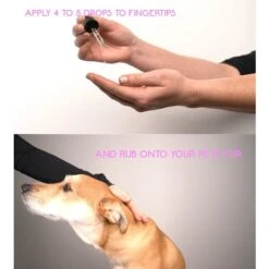 Calm Paws Purr Calming Essential Oil For Cats, 1-oz Bottle -Furry Friends 333174 PT6. AC SS1800 V1632820001