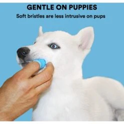 Jasper Finger Dog & Cat Toothbrush -Furry Friends 333238 PT5. AC SS1800 V1632973280