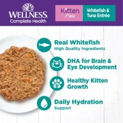 Wellness Complete Health Kitten Whitefish & Tuna Formula Grain-Free Canned Cat Food, Case Of 24 13 Wellness Complete Health Kitten Whitefish & Tuna Formula Grain-Free Canned Cat Food, Case Of 24 -Furry Friends 333297 PT2. AC SS1800 V1690904623