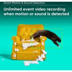 Wyze CAM Plus Dog & Cat Camera Motion & Bark Detection 3-Month Prepaid Card -Furry Friends 333663 PT2. AC SS1800 V1640271690
