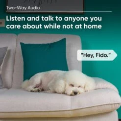 Wyze CAM Plus Dog & Cat Camera Motion & Bark Detection 3-Month Prepaid Card -Furry Friends 333663 PT4. AC SS1800 V1640272283