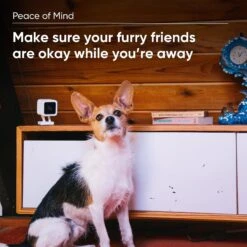 Wyze CAM Plus Dog & Cat Camera Motion & Bark Detection 3-Month Prepaid Card -Furry Friends 333663 PT5. AC SS1800 V1640272286