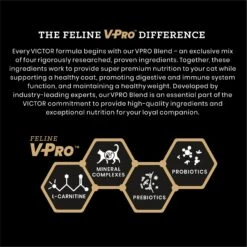 VICTOR Hi-Pro Plus Active Cat & Kitten Ocean Fish Recipe Dry Cat Food -Furry Friends 333759 PT3. AC SS1800 V1677690234