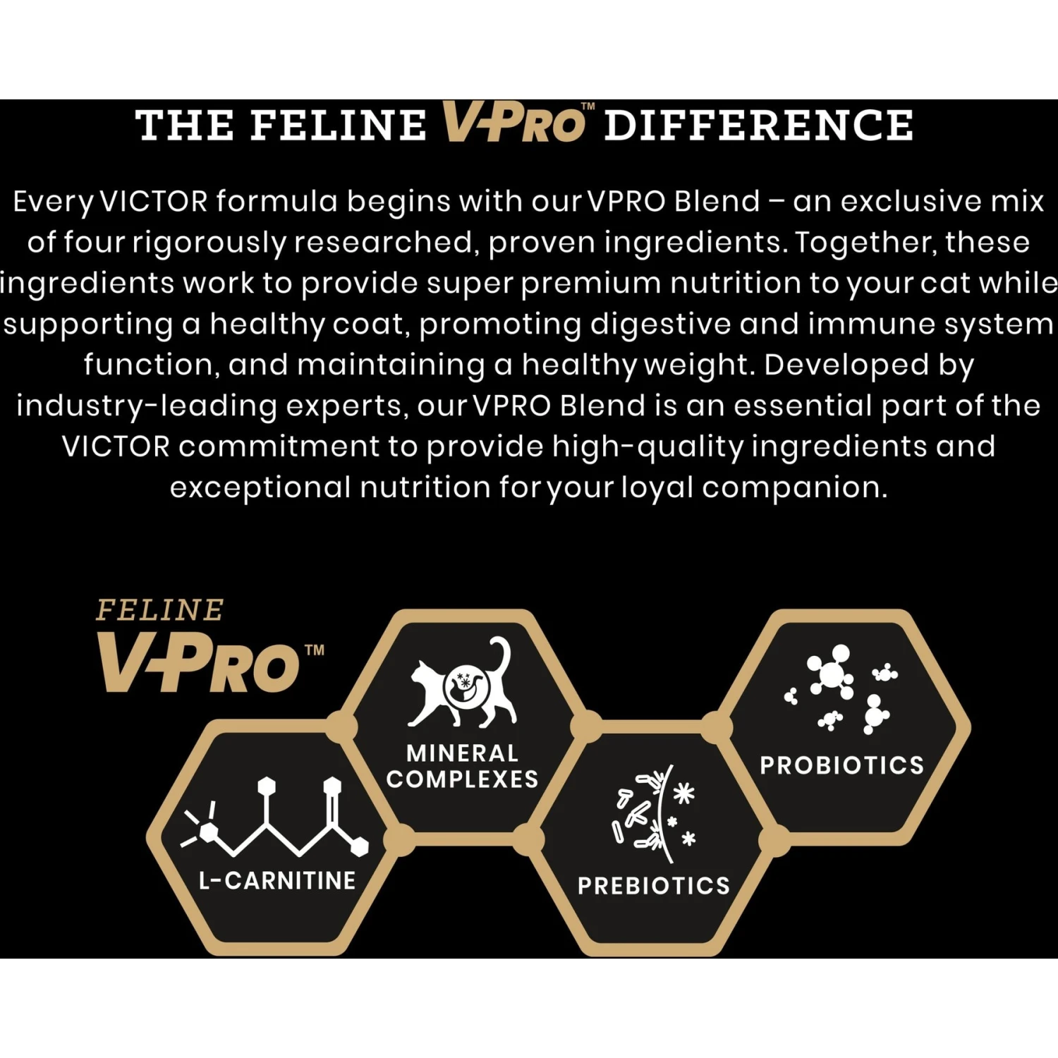 VICTOR Healthy Skin & Coat Indoor Grain-Free Yukon River Recipe With Salmon Dry Cat Food 5 VICTOR Healthy Skin & Coat Indoor Grain-Free Yukon River Recipe With Salmon Dry Cat Food - Image 3