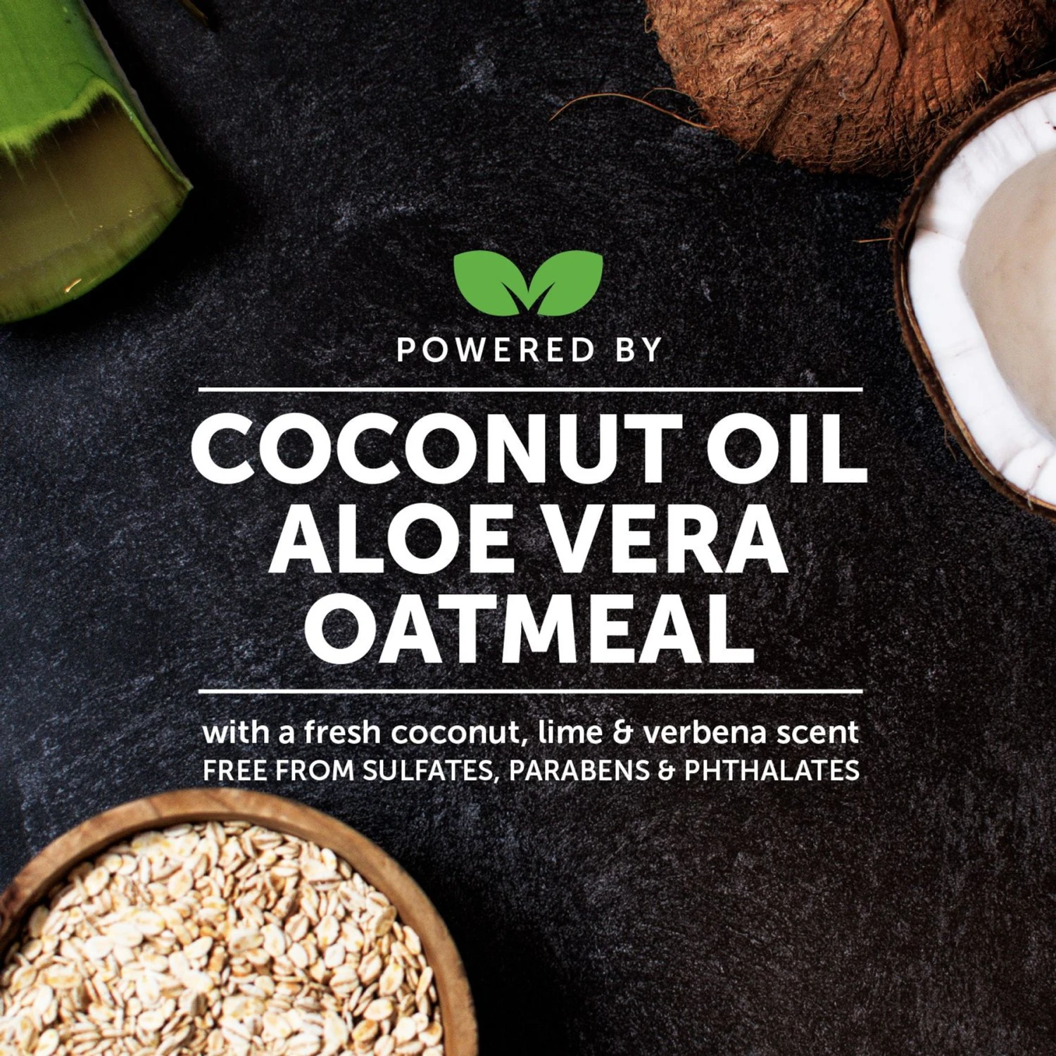 PetHonesty Allergy Anti-Itch Dog & Cat Shampoo, 16-oz Bottle 6 PetHonesty Allergy Anti-Itch Dog & Cat Shampoo, 16-oz Bottle - Image 4