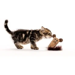 Litterbox.com Cork Pig Cat Toy -Furry Friends 334224 PT2. AC SS1800 V1633636900