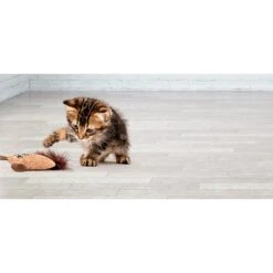 Litterbox.com Cork Pig Cat Toy -Furry Friends 334224 PT3. AC SS1800 V1633637784