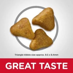 Hill's Science Diet Adult 7+ Senior Vitality Chicken Recipe Dry Cat Food & Hill's Science Diet Adult Urinary Hairball Control Dry Cat Food -Furry Friends 338687 PT7. AC SS1800 V1635868317