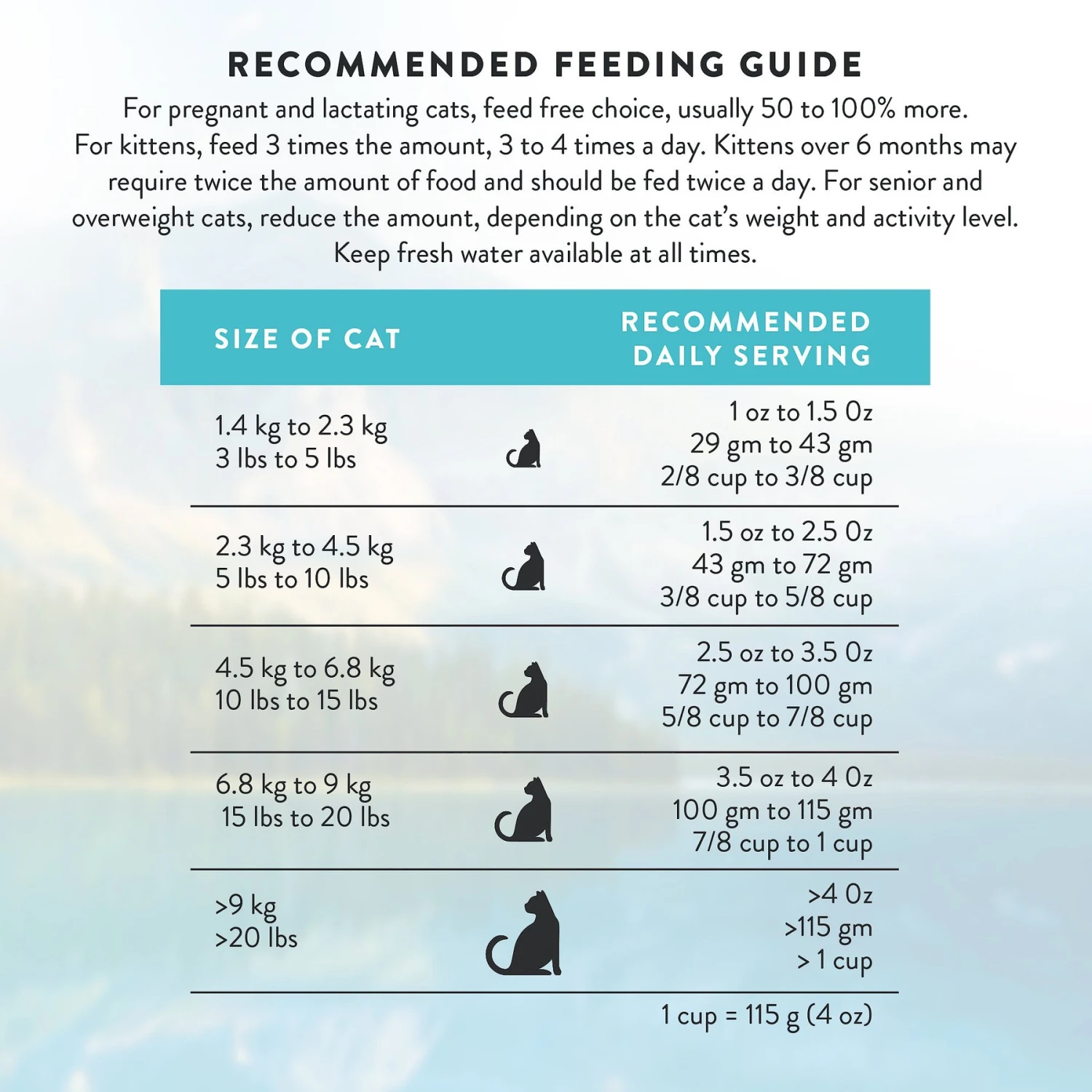 Addiction Grain-Free Salmon Bleu Dry Cat Food 11 Addiction Grain-Free Salmon Bleu Dry Cat Food - Image 9