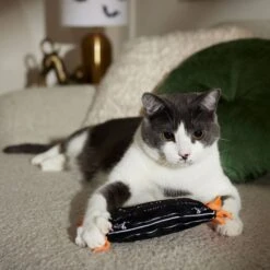 Frisco Halloween A-Paw-Thecary Kicker Plush Cat Toy With Catnip -Furry Friends 344000 PT3. AC SS1800 V1657657029