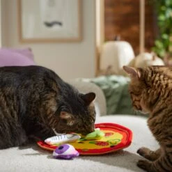 Frisco Halloween Spooky Pizza Interactive Plush Cat Toy With Catnip -Furry Friends 344066 PT3. AC SS1800 V1657657031