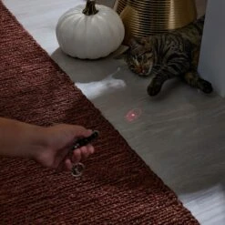 Frisco Halloween Skull Laser Cat Toy -Furry Friends 344068 PT3. AC SS1800 V1659279988