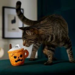 Frisco Halloween Spooky Pumpkin Spice Latte Plush Cat Toy With Catnip -Furry Friends 344080 PT3. AC SS1800 V1657657033