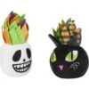 Frisco Halloween Succulents Plush Cat Toy With Catnip, 2 Count -Furry Friends 344082 MAIN. AC SS1800 V1657657033