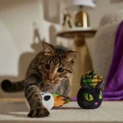 Frisco Halloween Succulents Plush Cat Toy With Catnip, 2 Count -Furry Friends 344082 PT3. AC SS1800 V1657657035